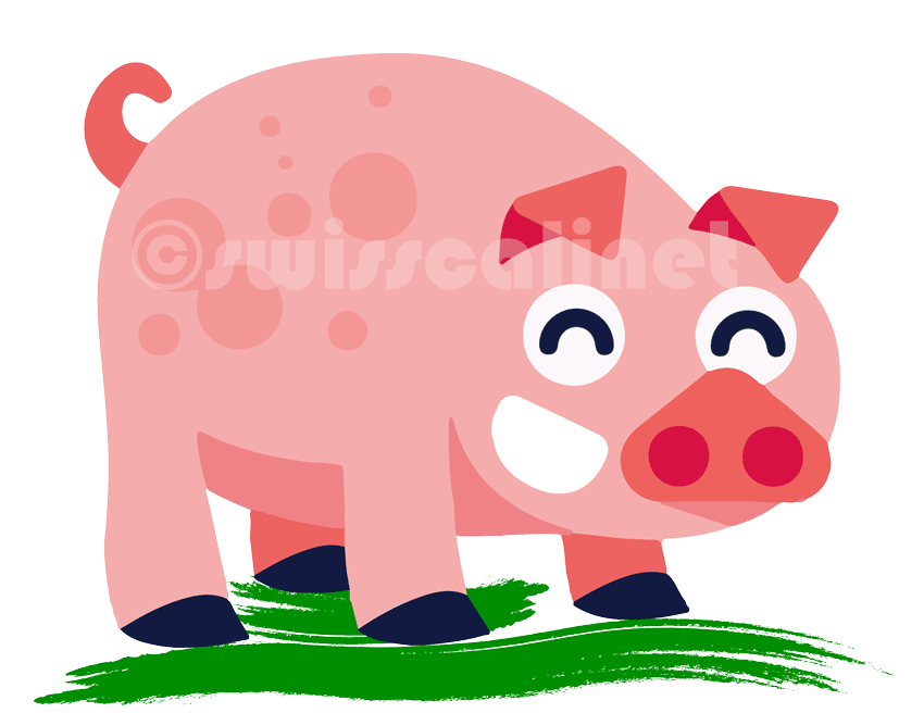 Animatio-Schweinchen